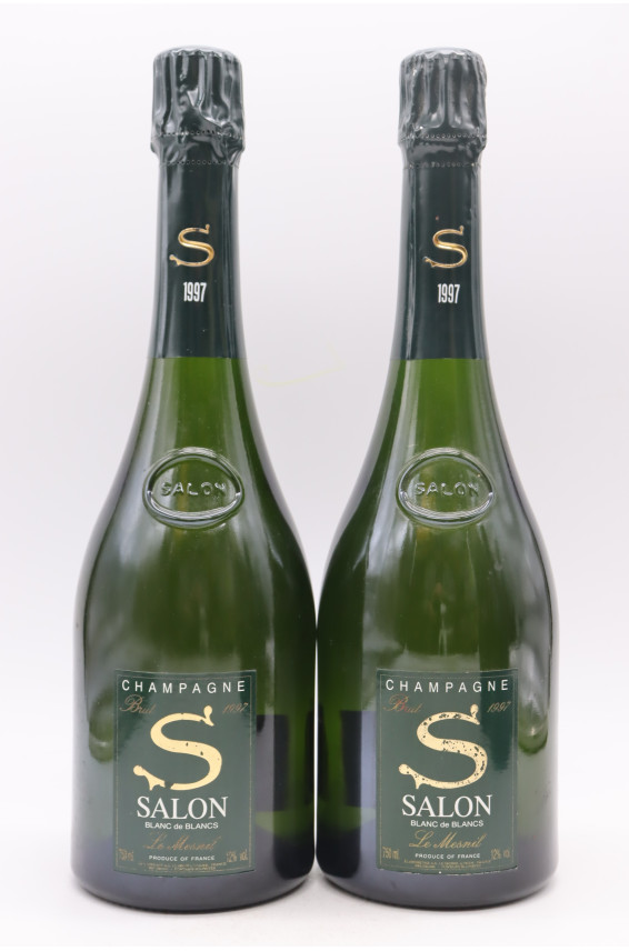 S de Salon le Mesnil 1997