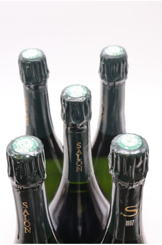 S de Salon le Mesnil 1997