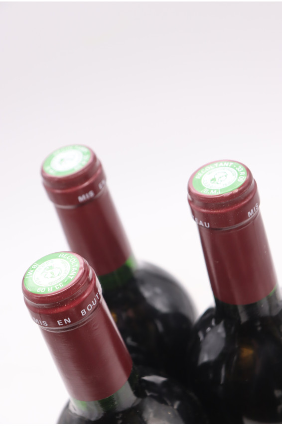 Croizet Bages 1996