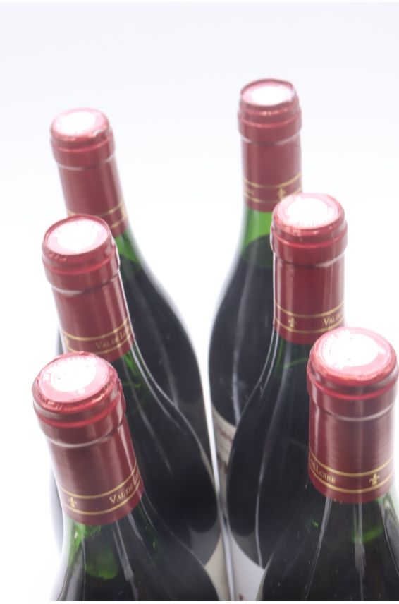 Alain et Jérôme Lenoir Chinon 1989 -10% DISCOUNT !