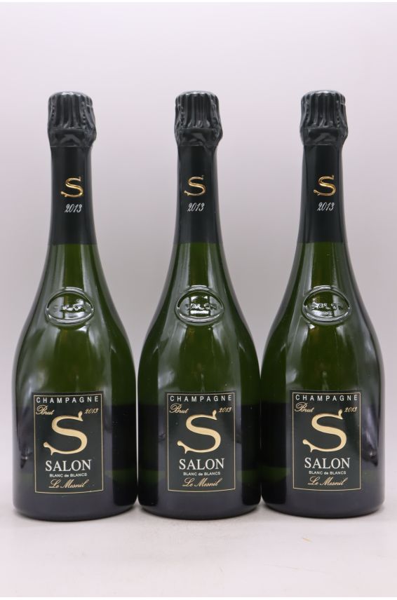 Salon 2013 OWC