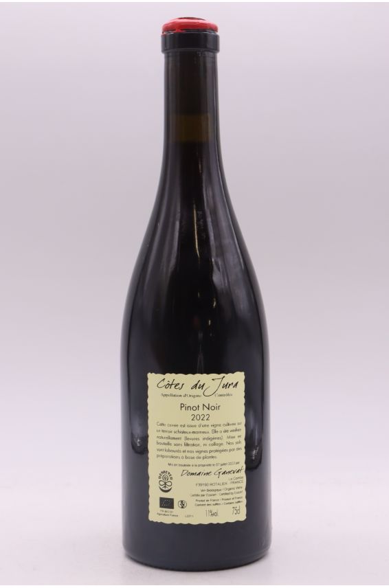 Jean François Ganevat Côtes du Jura Pinot Noir En Billat 2022