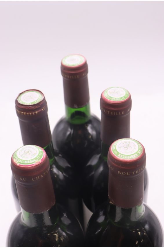 Château Hanteillan cru Bourgeois 1987 -5% DISCOUNT !