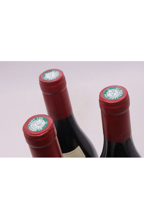 Hudelot Noellat Romanée Saint Vivant 2019