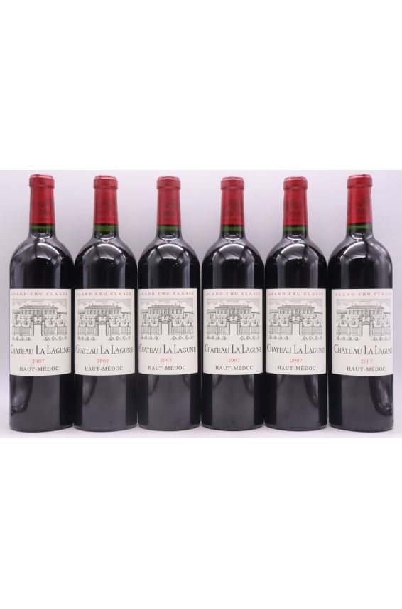 Lagune 2007 OWC
