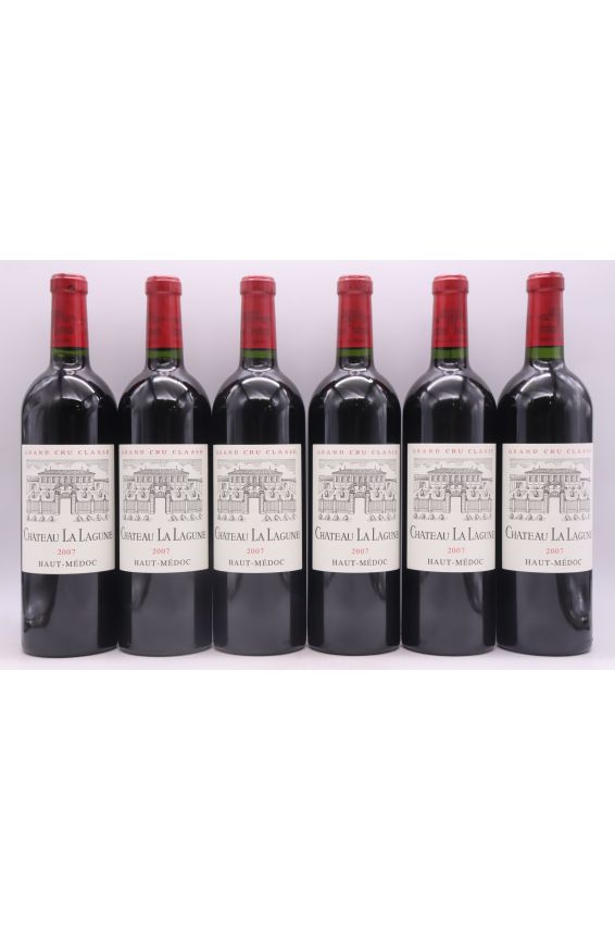 Lagune 2007 OWC