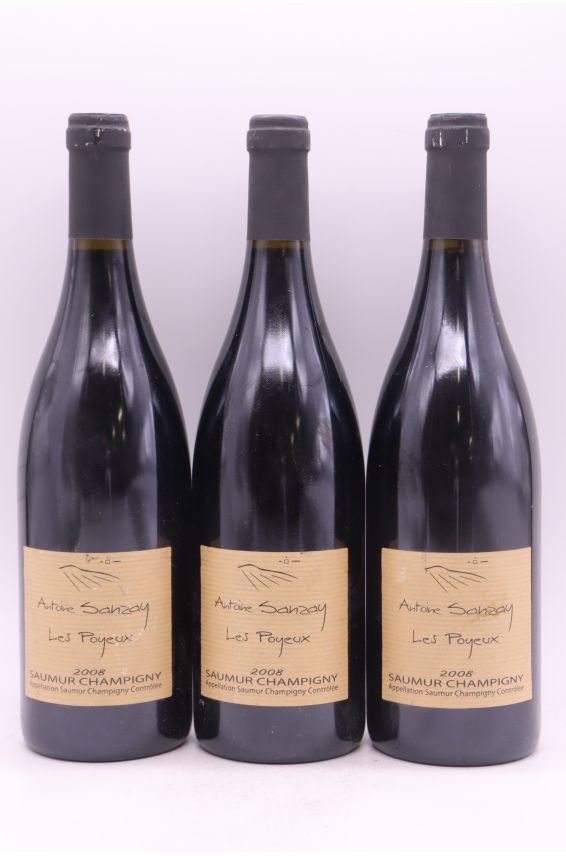 Antoine Sanzay Saumur Champigny Les Poyeux 2008