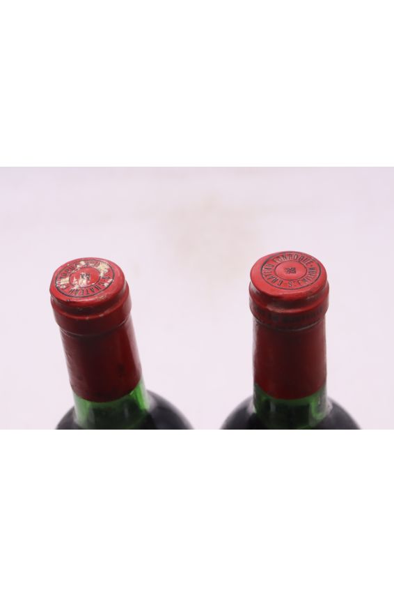 Fonroque 1981