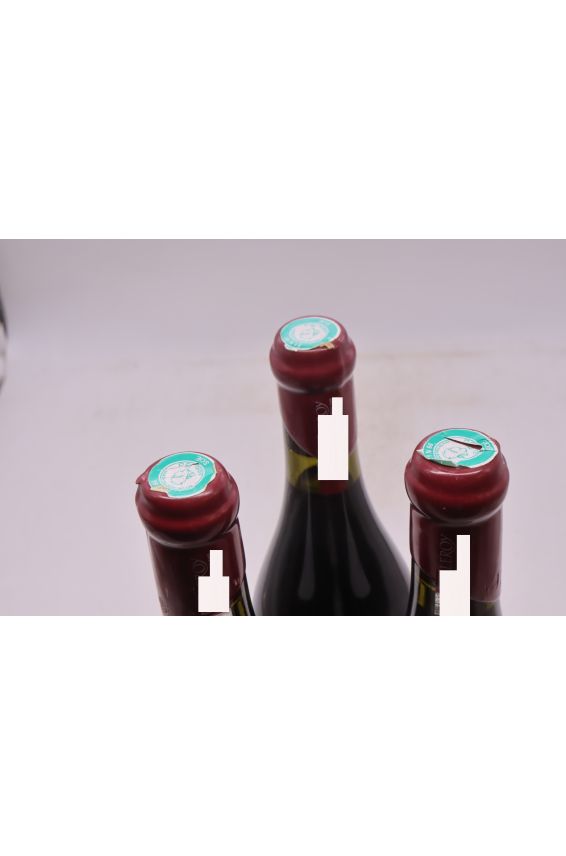 Domaine Leroy Gevrey Chambertin 1er cru Les Combottes 2007