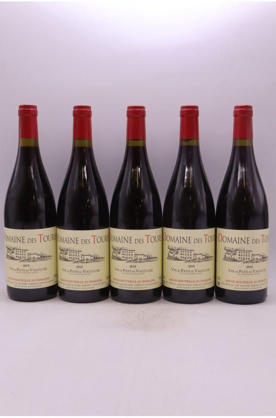 Domaine des Tours 2019