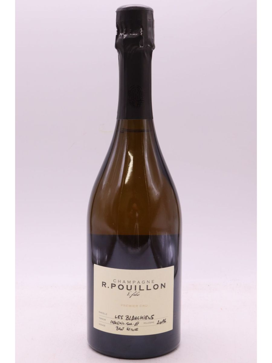 illustration du vin r Pouillon 1er Cru les Blanchiens Brut Nature 2016