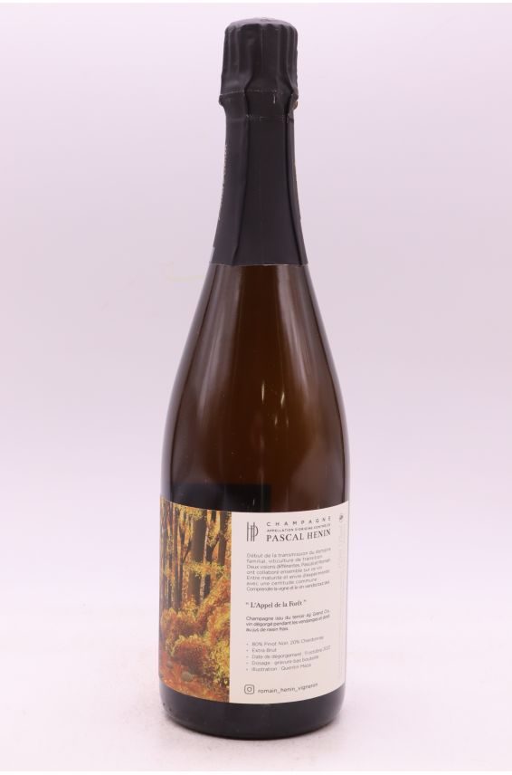 Romain Hénin L'appel de la forêt