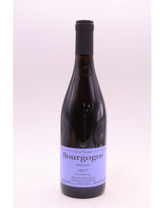 Sylvain Pataille Bourgogne 2023 tinto
