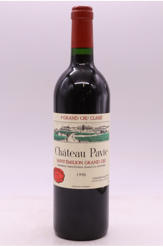 Pavie 1996