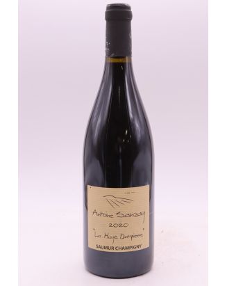 Antoine Sanzay Saumur Champigny La Haye Dampierre 2020