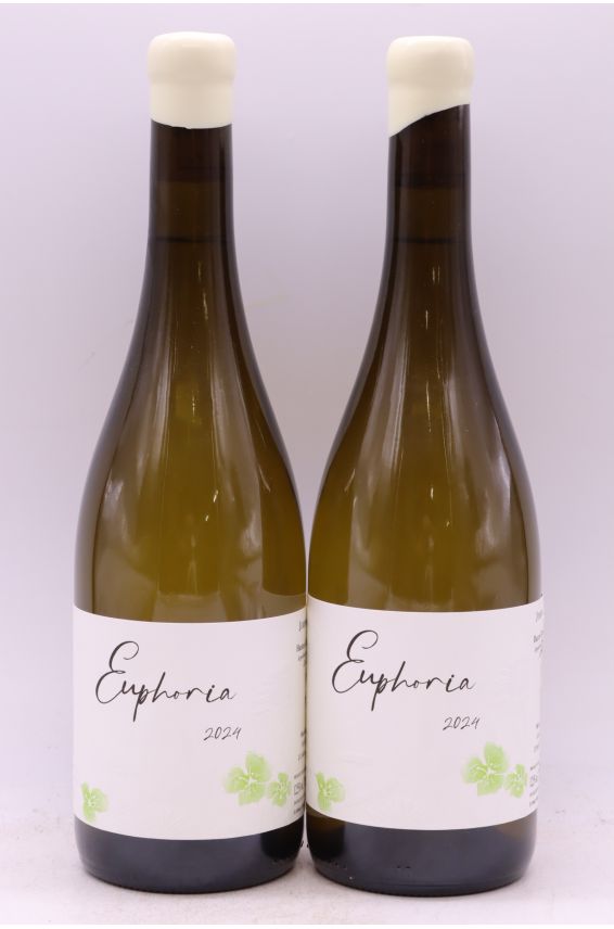 Jérémy Carteret Hautes Côtes de Beaune Euphoria 2024 blanco