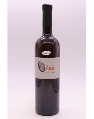 Cotar Vitovska 2019