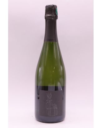 Pascal Agrapart 7 Crus