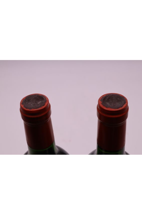 Pavie 1988