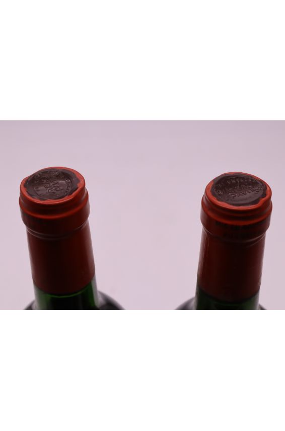 Pavie 1988