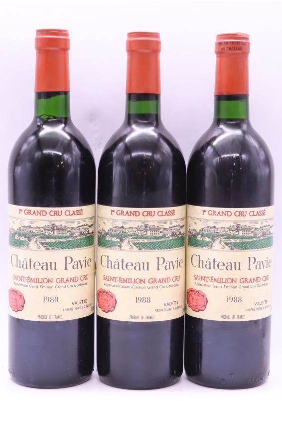 Pavie 1988