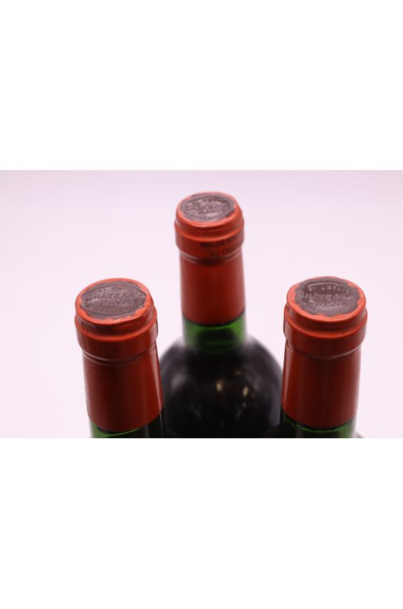 Pavie 1988