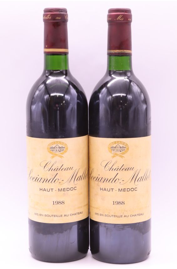 Sociando Mallet 1988