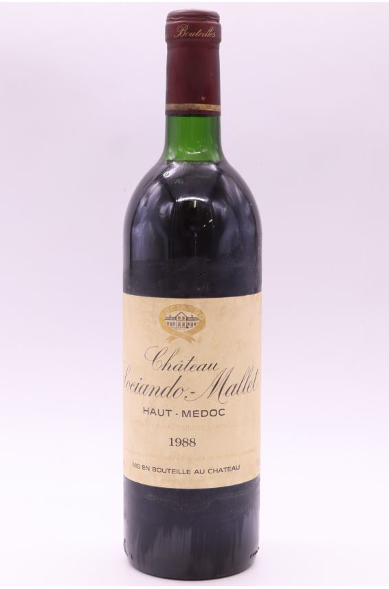 Sociando Mallet 1988