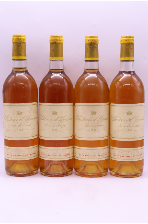 Yquem 1988
