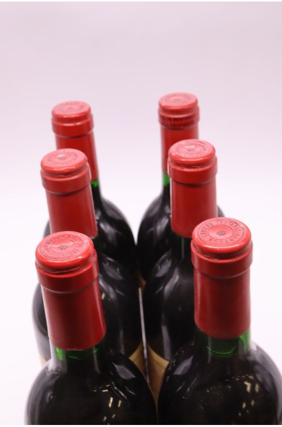 Trotanoy 1989