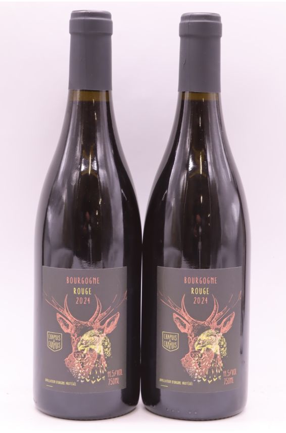 Chapuis Bourgogne 2024