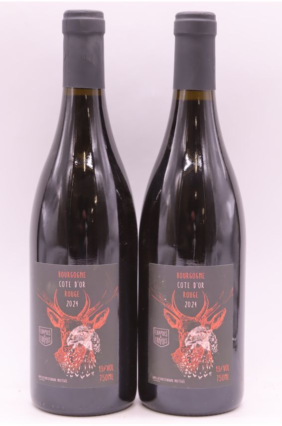 Chapuis Bourgogne Côte d'Or 2024