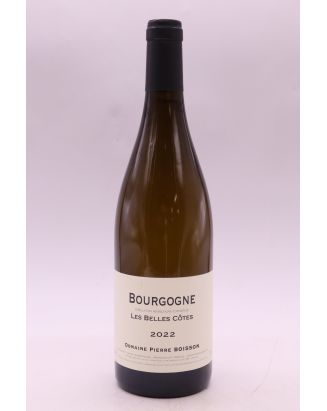 Pierre Boisson Bourgogne Les Belles Côtes 2022 White