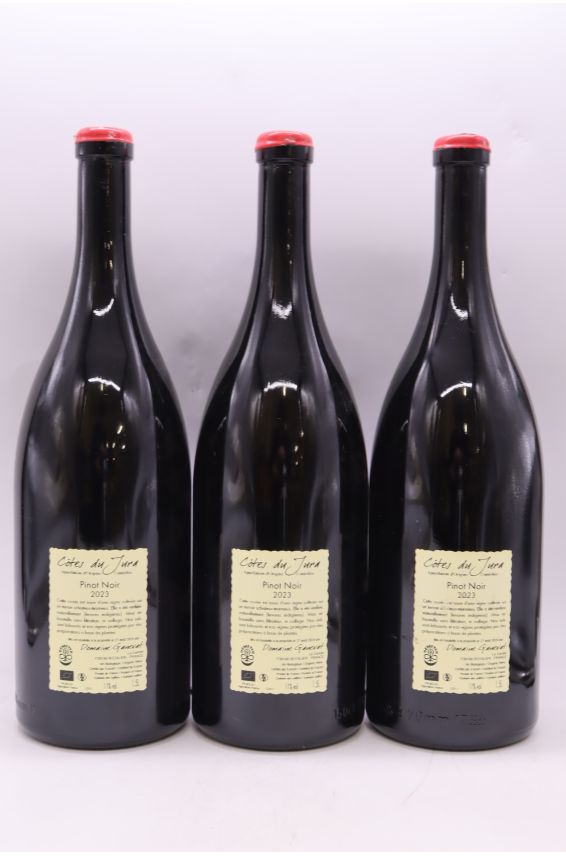 Jean François Ganevat Côtes du Jura Pinot Noir En Billat 2023 Magnum
