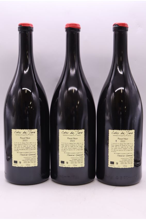 Jean François Ganevat Côtes du Jura Pinot Noir Les Grandes Teppes 2022 Magnum