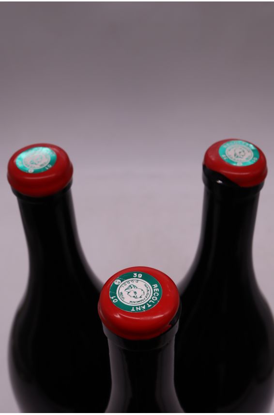 Jean François Ganevat Côtes du Jura Pinot Noir Les Grandes Teppes 2022 Magnum