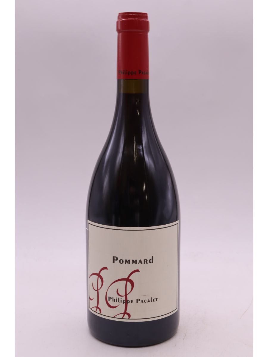 vue du vin Philippe Pacalet Pommard 2021