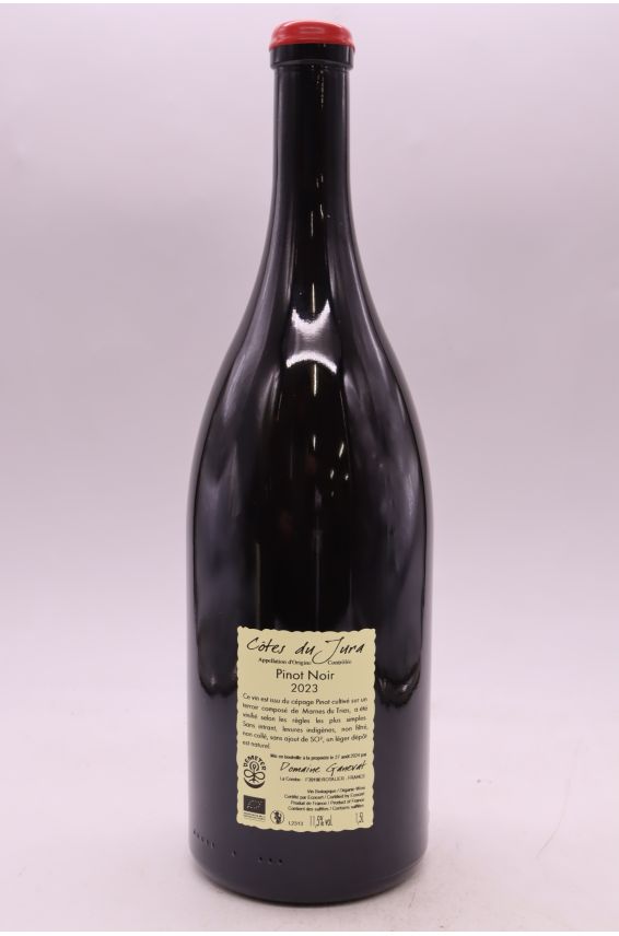 Jean François Ganevat Côtes du Jura Pinot Noir Les Grandes Teppes 2023 Magnum
