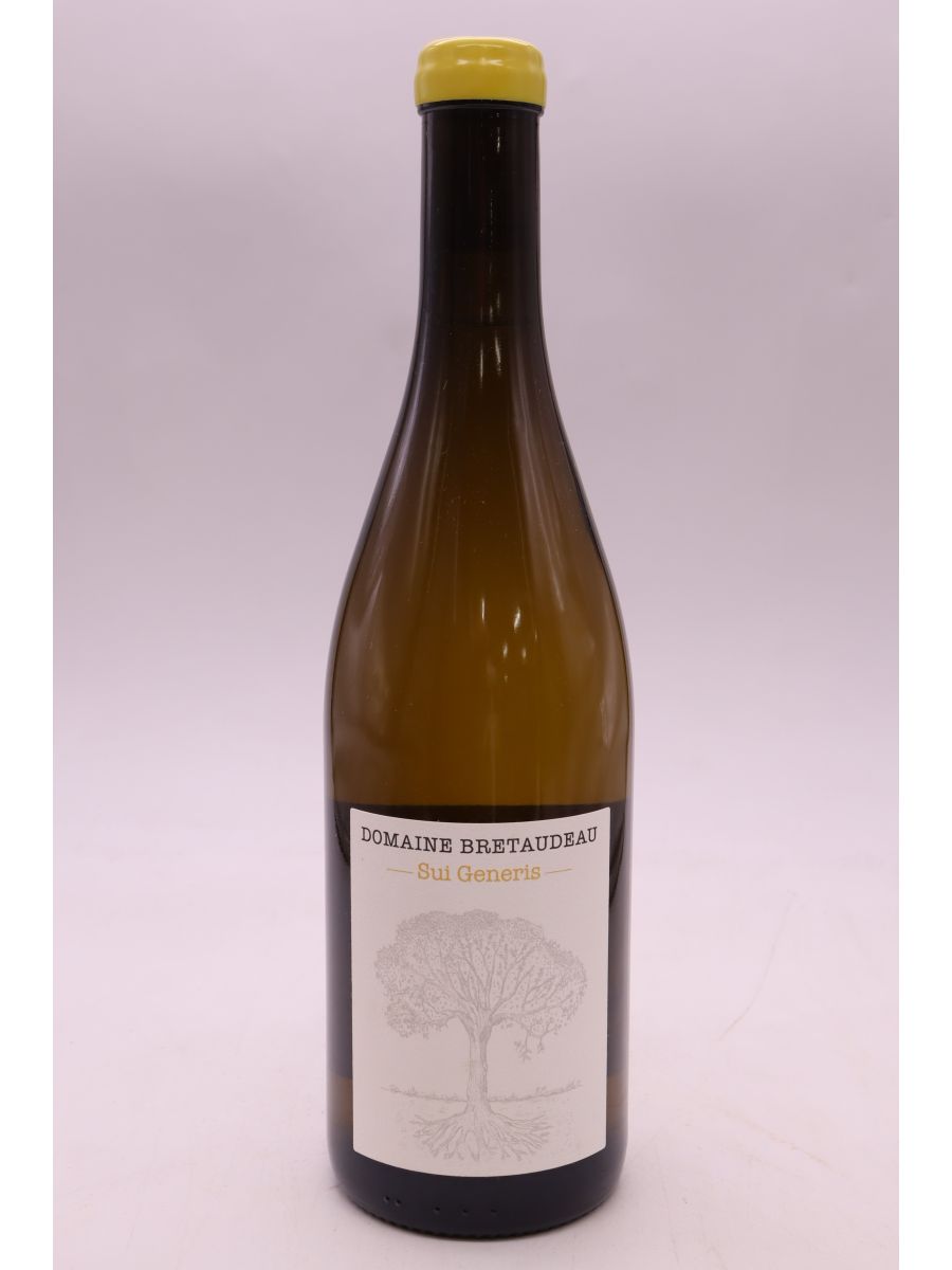 vue du vin Jérôme Bretaudeau Sui Generis 2023