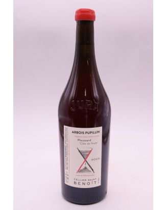 Cellier Saint Benoît Arbois Pupillin Ploussard Côte de Feule 2023