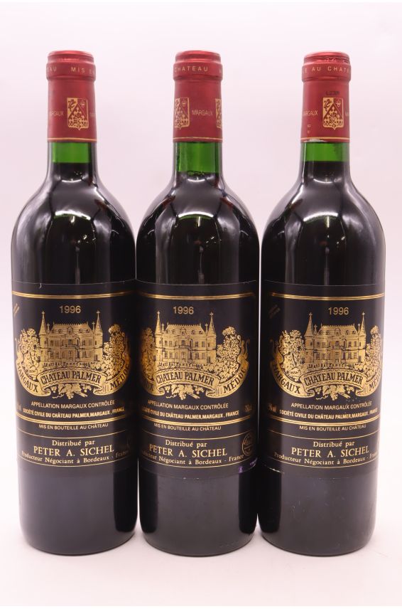 Palmer 1996