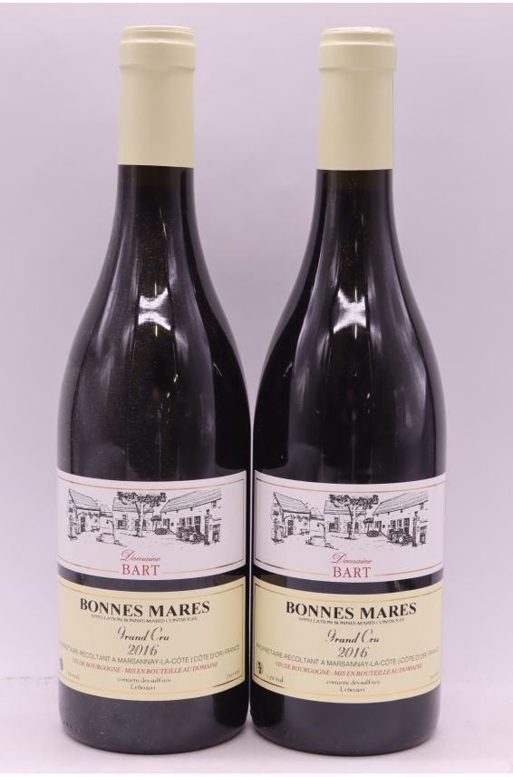 Bart Bonnes Mares 2016