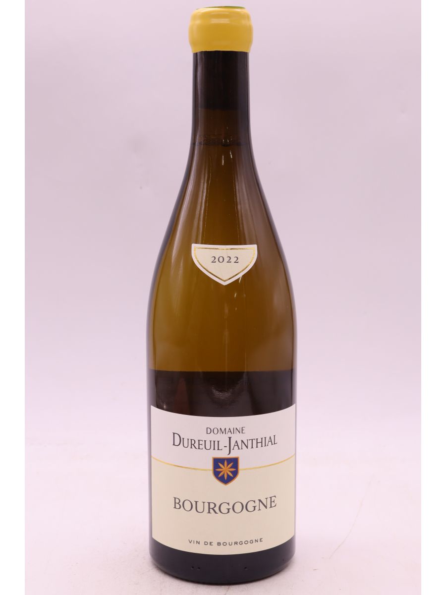 photos du vin Vincent Dureuil Janthial Bourgogne 2022 Blanc