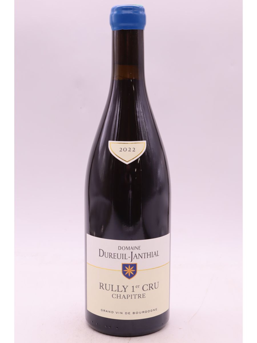 vue du vin Vincent Dureuil Janthial Rully 1er Cru Chapitre 2022 Rouge