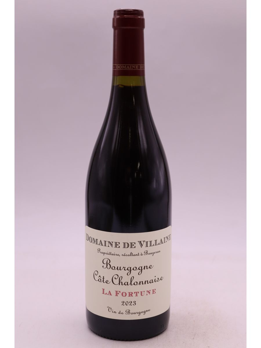 vue du vin de Villaine Bourgogne Côte Chalonnaise la Fortune 2023