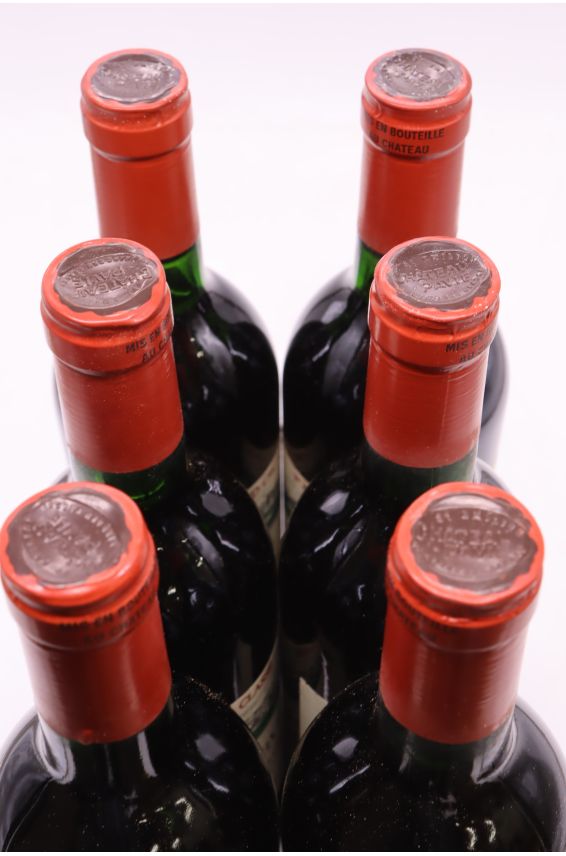 Pavie 1986