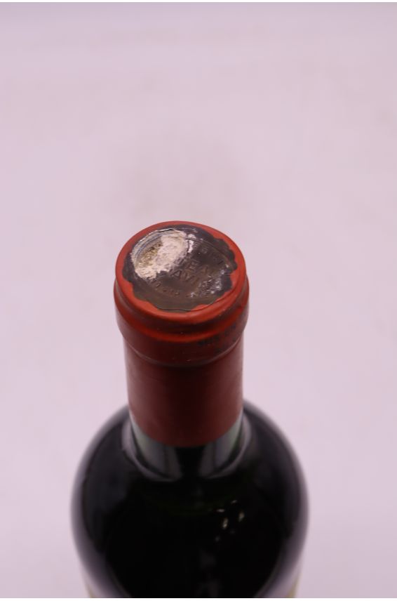 Pavie 1985