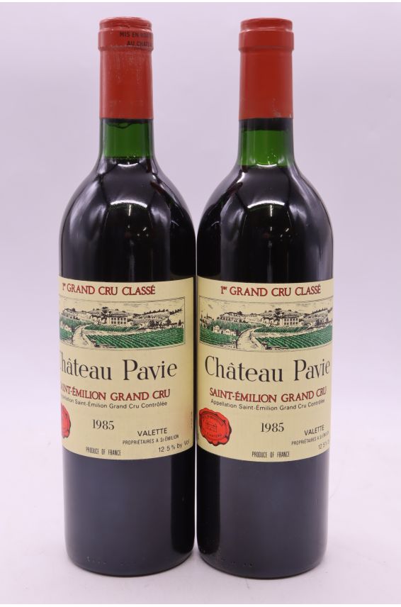 Pavie 1985