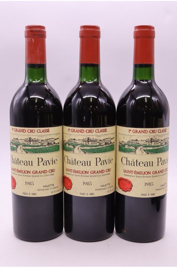 Pavie 1985