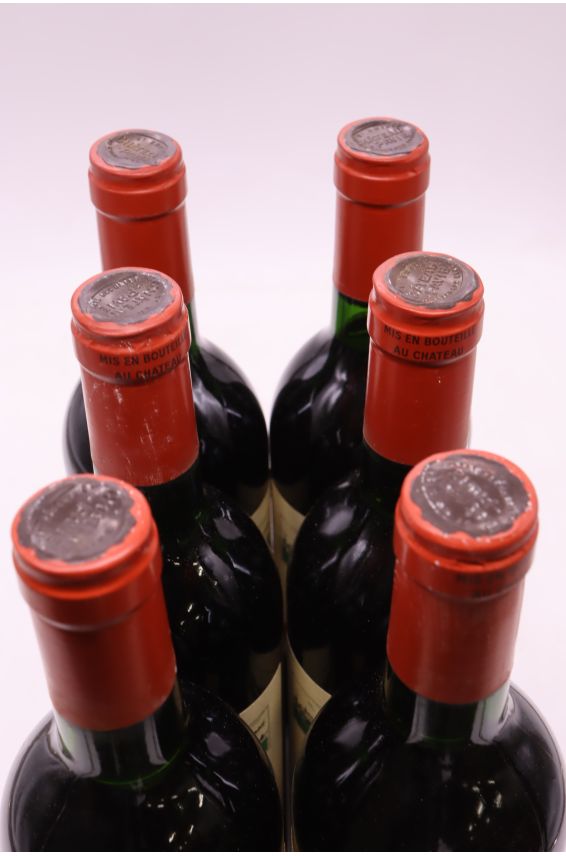 Pavie 1985